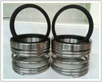 SCS – siingle spring seals